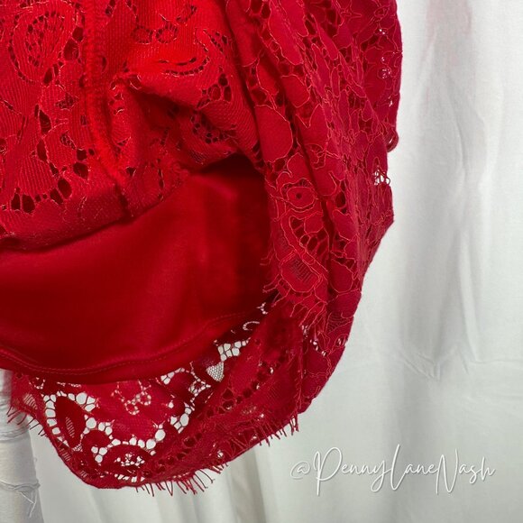 Express Red Piped Lace Midi Sheath Dress - Picture 15 of 16